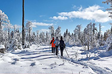 Wintersportgebiet Bayerischer Wald